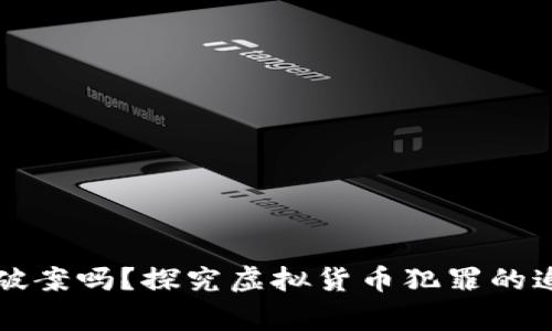 虚拟币报警能破案吗？探究虚拟货币犯罪的追查与解决路径