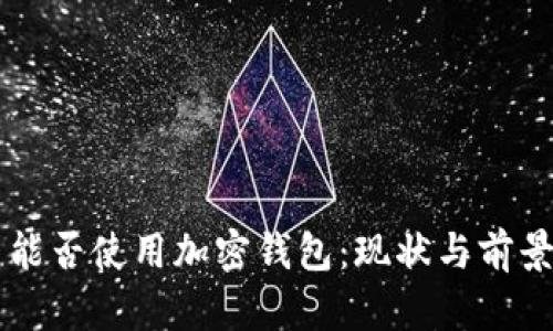 中国能否使用加密钱包：现状与前景分析