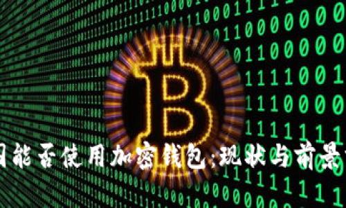 中国能否使用加密钱包：现状与前景分析