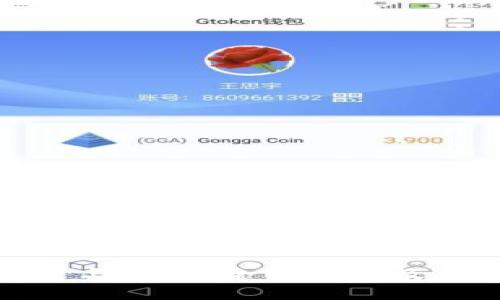 TP管网的构建与应用：全面解析及未来发展趋势