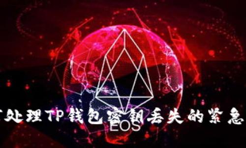 如何处理TP钱包密钥丢失的紧急指南