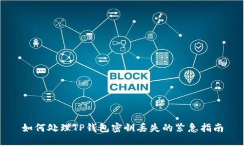 如何处理TP钱包密钥丢失的紧急指南
