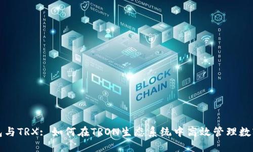 TP钱包与TRX: 如何在TRON生态系统中高效管理数字资产