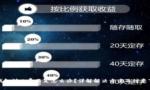 TP钱包矿工费不足怎么办？详解解决方案及注意事项