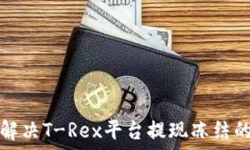如何解决T-Rex平台提现冻结的问题