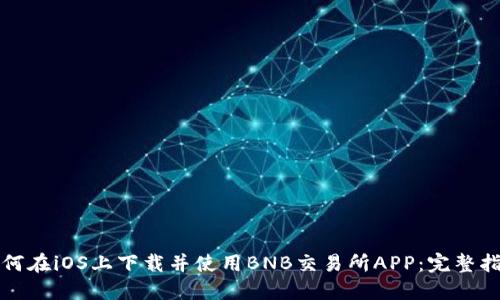 如何在iOS上下载并使用BNB交易所APP：完整指南