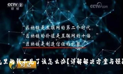 TP钱包里的钱不见了该怎么办？详解解决方案与预防措施