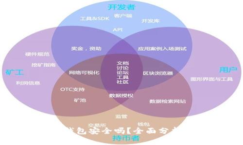 官方下载tp钱包安全吗？全面分析及使用指南