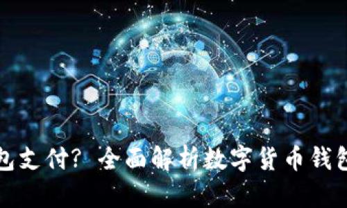 数字货币用什么钱包支付? 全面解析数字货币钱包的种类与使用指南