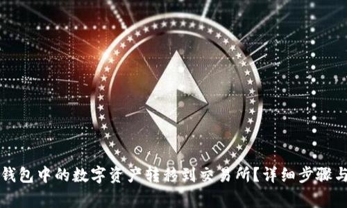 如何将TP钱包中的数字资产转移到交易所？详细步骤与注意事项
