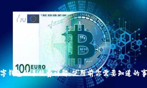 数字钱包的手续费详解：使用前你需要知道的事项