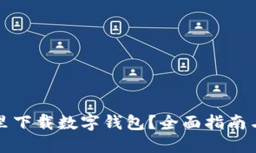 在哪里下载数字钱包？全面指南与推荐