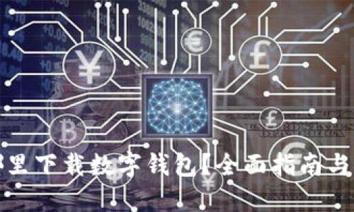 在哪里下载数字钱包？全面指南与推荐