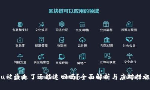 u被盗走了还能追回吗？全面解析与应对措施