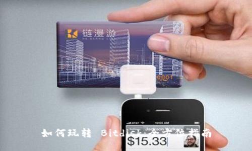 如何玩转 Bitdisk：全方位指南
