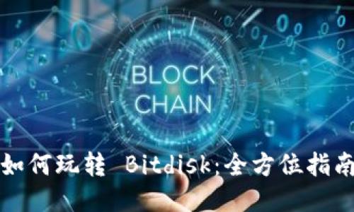 如何玩转 Bitdisk：全方位指南