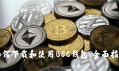 如何下载和使用BSC钱包：全面指南