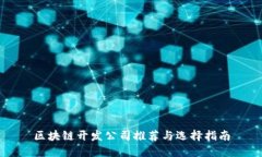 区块链开发公司推荐与选择指南