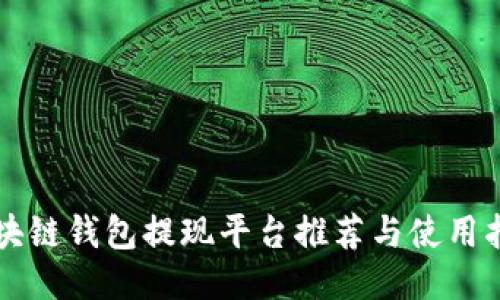 区块链钱包提现平台推荐与使用指南