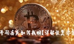 区块链钱包号码丢失如何找回？详解恢复方法与