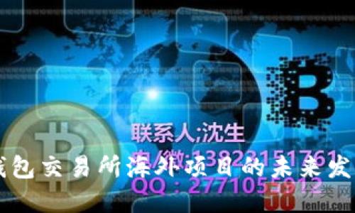 区块链钱包交易所海外项目的未来发展与潜力