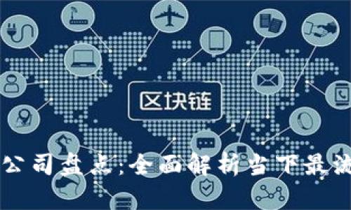 主流数字钱包公司盘点：全面解析当下最流行的数字钱包