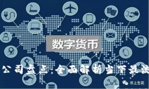 主流数字钱包公司盘点：全面解析当下最流行的数字钱包