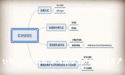  tp钱包使用指南：如何安全管理WEMIX资产 