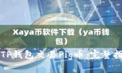 如何使用TP钱包交易Pig币：完整指南与技巧