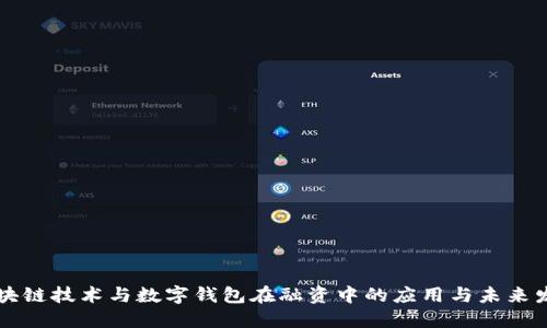 区块链技术与数字钱包在融资中的应用与未来发展
