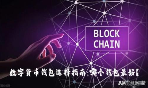 数字货币钱包选择指南：哪个钱包最好？