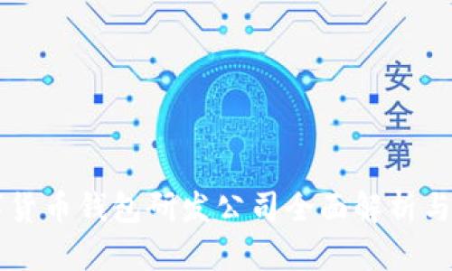 中国数字货币钱包研发公司全面解析与前景展望