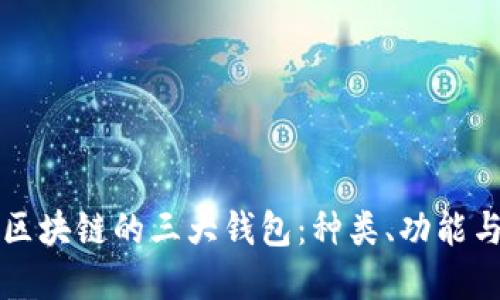深入了解区块链的三大钱包：种类、功能与使用指南