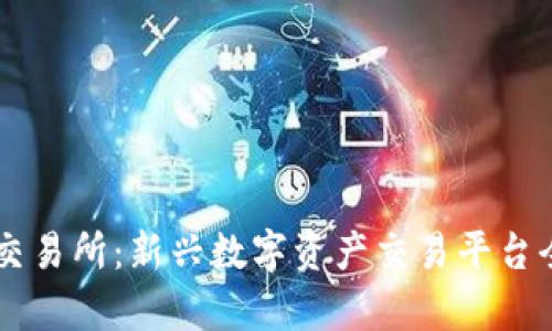 ZT网交易所：新兴数字资产交易平台全解析