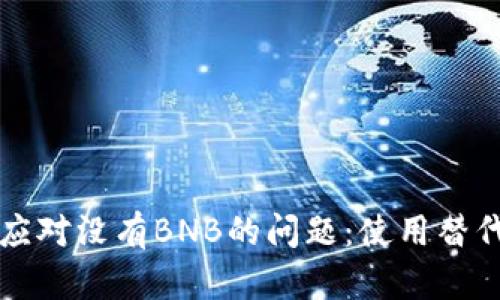 如何在TP钱包中应对没有BNB的问题：使用替代方案和解决方法