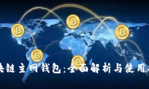区块链主网钱包：全面解析与使用指南
