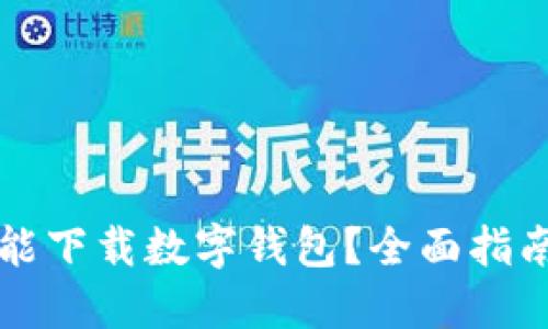 从哪里能下载数字钱包？全面指南与推荐