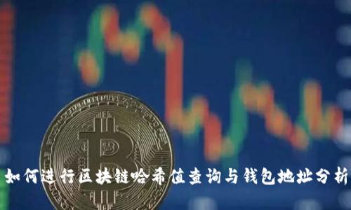 如何进行区块链哈希值查询与钱包地址分析