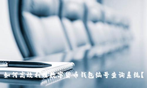 如何高效利用数字货币钱包编号查询系统？