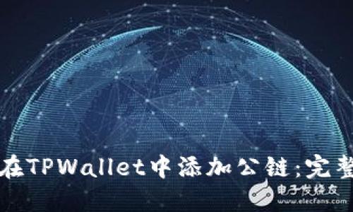 如何在TPWallet中添加公链：完整指南