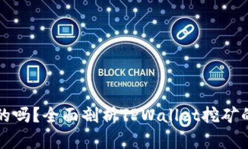 TPWallet挖矿是真的吗？全面剖析TPWallet挖矿的真实性与潜在风险