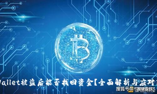 :
TPWallet被盗后能否找回资金？全面解析与应对策略