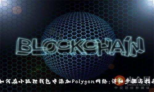 如何在小狐狸钱包中添加Polygon网络：详细步骤与指南