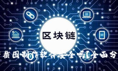 tpwallet资产截图制作软件安全吗？全面分析与使用指南