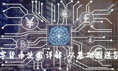 电子钱包数字货币使用详解：从基础到进阶的全面指南