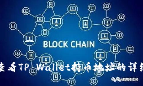 如何查看TP Wallet持币地址的详细指南