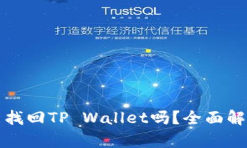 没有助记词能找回TP Wallet吗？全面解析与解决方案