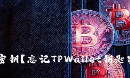 如何找回TPWallet密钥？忘记TPWallet钥匙密钥的解决方法详解
