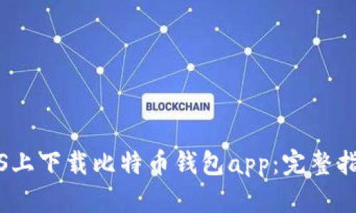 如何在iOS上下载比特币钱包app：完整指南与推荐