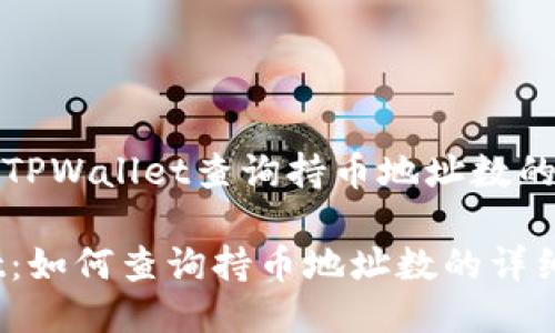 如何通过TPWallet查询持币地址数的详细指南

TPWallet：如何查询持币地址数的详细指南